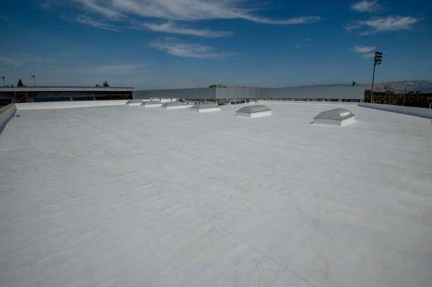 Best Steel Roofing  in Cressona, PA